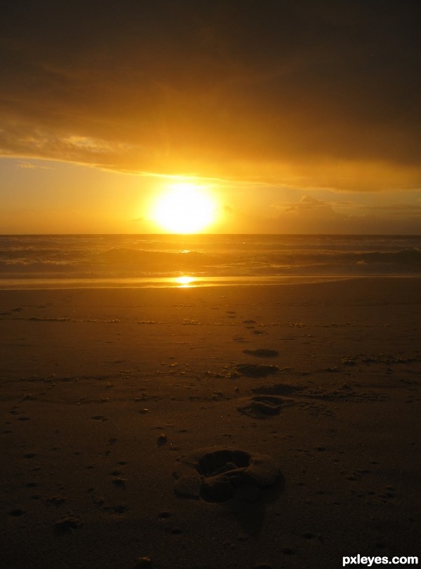 A Sunrise Swim